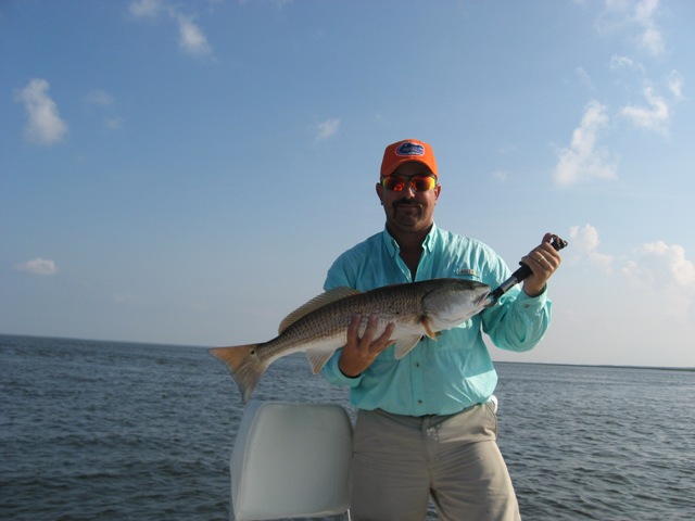fish017